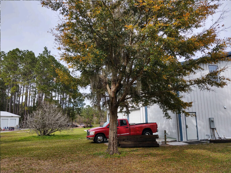 A picture of the back of the school at North Florida Arts and Sciences Academy