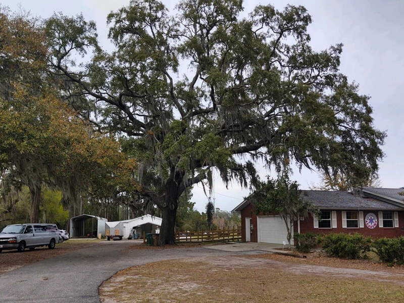 A picture of the front of the school at North Florida Arts and Sciences Academy